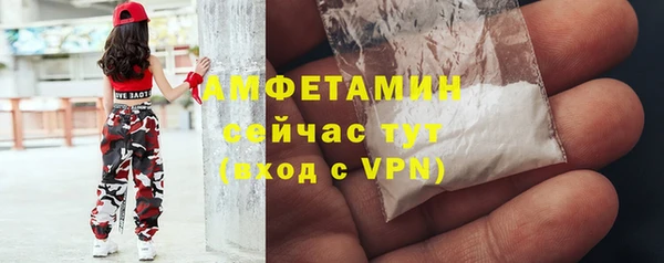 гидра Аркадак