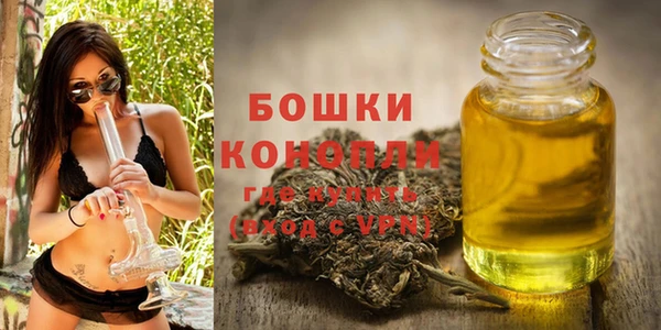 гидра Аркадак