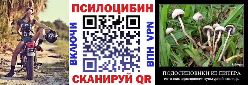 Галлюциногенные грибы GOLDEN TEACHER  Купить  Феодосия 